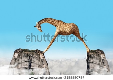 Concept of giraffe with long hands step over two mountains rocks in the clouds and blue sky