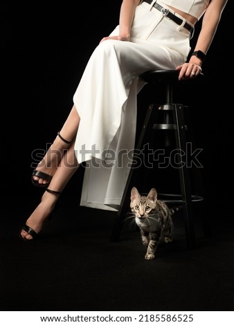A bengal kitten sits at woman's feet on black background, studio shot