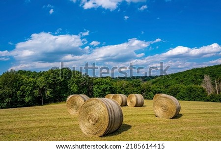 Haystacks on the harvesting field. Haystack in field. Agriculture field haystacks. Haystacks Royalty-Free Stock Photo #2185614415