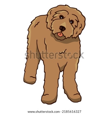 Small Poodle Frontal Color Stroke. High quality vector