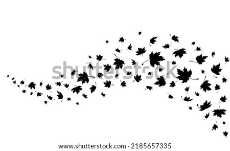 Maple leaves. Autumn background with flying and falling maple leaves. Template for wave autumn pattern with an empty space for text. Isolated black silhouette. Vector illustration