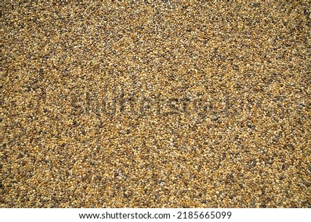 Close up of small stone texture. Abstract background of decorative floor, pebble stones. Gravel, yellow-orange road in the park.