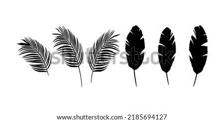 Black palms leaves and banana leaves on a white background. Royalty-Free Stock Photo #2185694127
