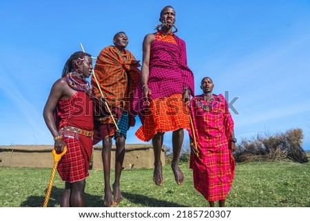 Maasai Mara man in traditional colorful clothing showing traditional Maasai jumping dance at Maasai Mara tribe village famous Safari travel destination near Maasai Mara National Reserve Kenya Royalty-Free Stock Photo #2185720307