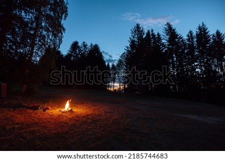 Small campfire in a forest during night or evening time, with  trees being lit by the setting sun and fire standing out in the grassy field.
