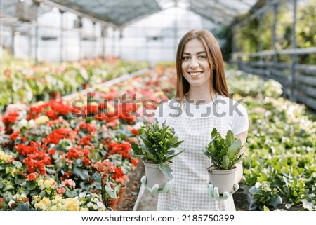 Woman holds a pot of flowers in her hands, growing plants for sale, plant as a gift, flowers in a greenhouse