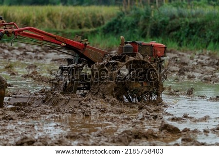 Tracktor plowing in Ricefield stock photo 