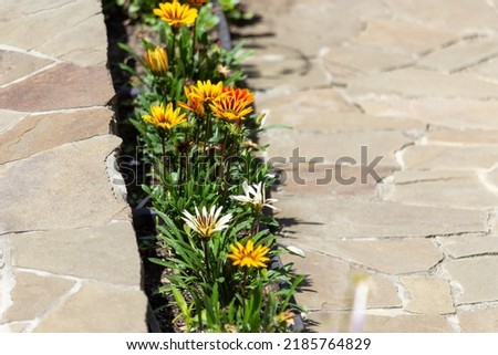 Orange and yellow flowers. Landscaping and home decoration. Flower bed made of plastic containers. Flowerpot border
