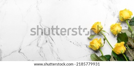 Beautiful yellow roses on light background with space for text