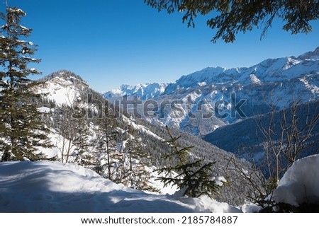 wintry forest at Kreuzeck mountain, Wetterstein alps near Garmisch, upper bavaria Royalty-Free Stock Photo #2185784887