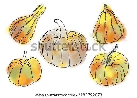 Bright ripe pumpkins. Autumn clip art set on white background