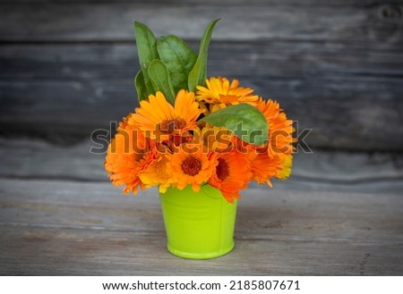 a bouquet of calendula in a green bucket on the background of a wooden wall.
