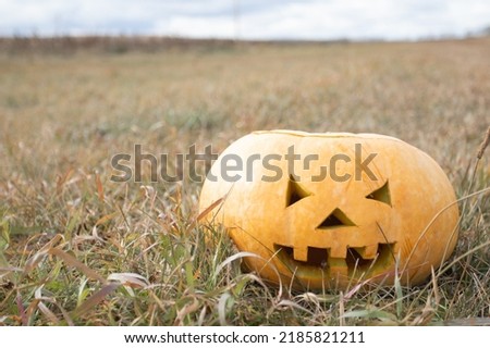 Halloween pumpkin on autumn field background.