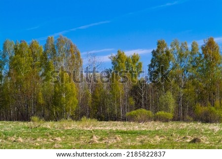 rural landscape, pictured field, blue sky and forest.
