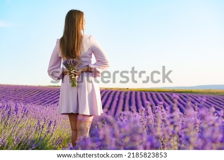 Back view of a pretty young girl in dress standing in lavender field