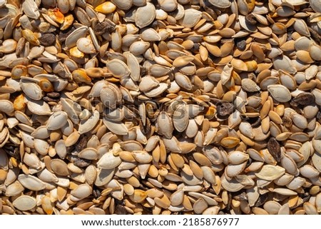 Natural background of the seed texture. A picture from above of mixed pumpkin and melon seeds