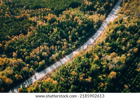 Aerial view of autumn road with colorful trees in woods in Finland