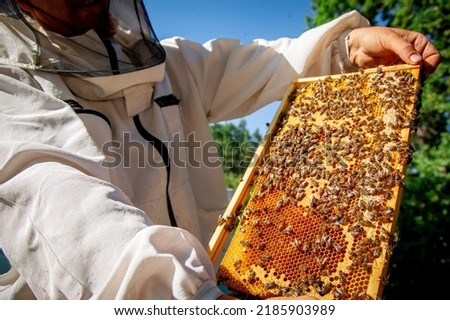 A beekeeper at an apiary holding a frame with honey and bees