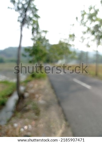 defocused photo of a road in the countryside with rice fields on the right and left
