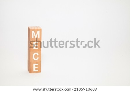 mece. No duplicates, no omissions. Mutually Exclusive and Collectively Exhaustive. Mece characters drawn on wooden blocks.