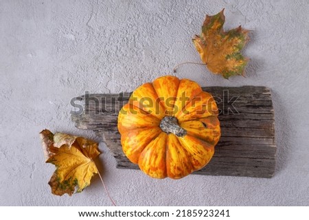 an orange mini pumpkin lies on a wooden board on a gray background among autumn leaves