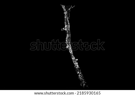 water splashes isolated on black background. white jets with drops. High quality photo Royalty-Free Stock Photo #2185930165