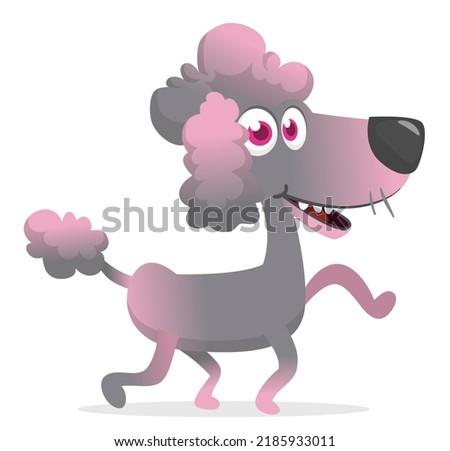 Pretty and cute cartoon french poodle. Vector illustration isolated