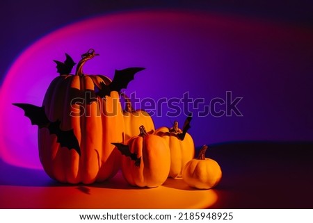 Halloween pumpkins and bats on neon gradient background. Happy Halloween decorations