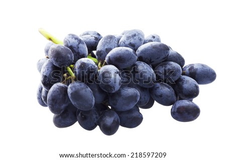Branch of blue grapes isolated on the white