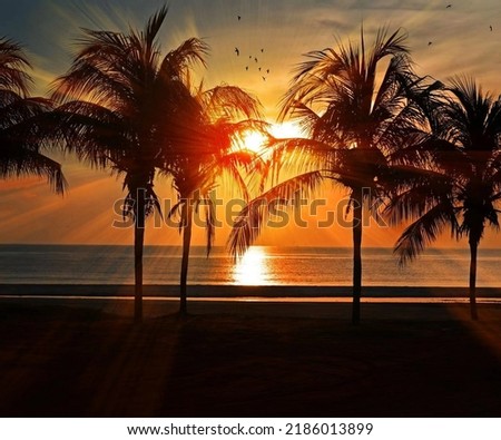 Wonderful beach picture at sunset