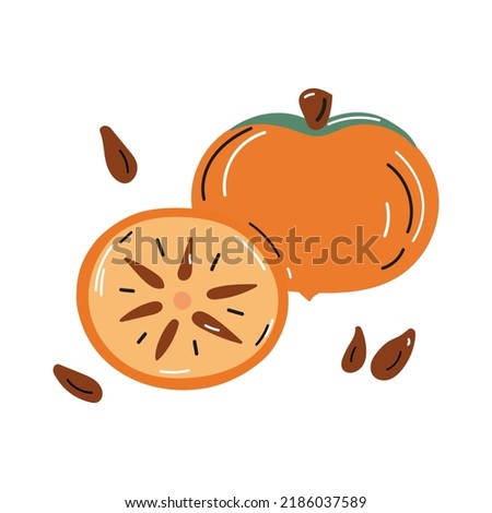 Vector illustration of persimmons whole and cut with pits in doodle style. Hand drawn badge and symbol for printing on baby clothes, sticker, textile design, design for grocery store, menu.