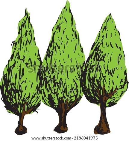 Vector illustration of three cypress trees.