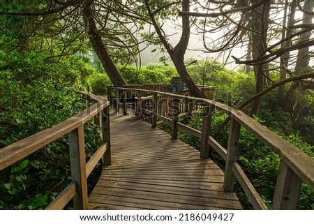 Elevated wooden walkway in an ancient tropical rain forest near Tofino, Vancouver Island, British Columbia, Canada. Royalty-Free Stock Photo #2186049427