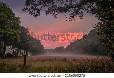 Morning fog in the field at dawn. Foggy early morning at dawn. Early morning fog at dawn. Fog at dawn Royalty-Free Stock Photo #2186050275