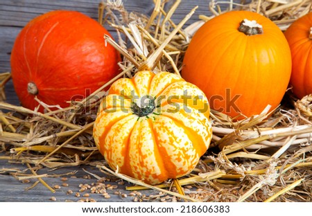 Autumn pumpkins on wooden board, straw