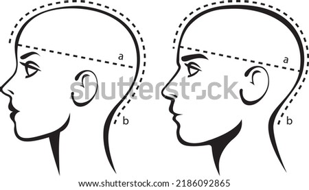 Stylized image of a male y ​female head. Template for selecting the size of a wig or hats for women and men. Measuring size chart. Vector illustration isolated on white background