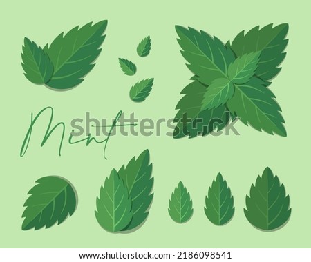 Mint leaves flat illustration. Stylized collection of flat vector elements in green colors. Best for web, print, advertising, logo creating and branding design. Royalty-Free Stock Photo #2186098541
