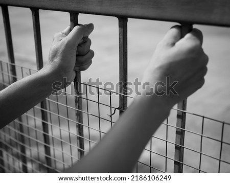 Hand woman holding prison steel  black and white photography. alone  person behind jail cage. for broken heart, life problems,substance abuse,depression,criminal,lillegal concept. Royalty-Free Stock Photo #2186106249