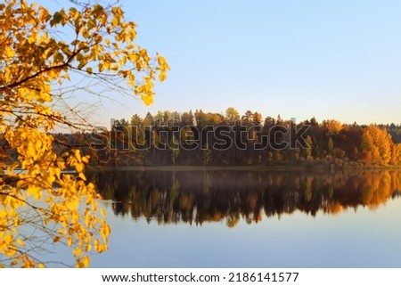 Shore of quiet lake or river at golden hour. Beautiful details of nature at autumn sunset. Amazing landscape. Background. Wallpaper. Postcard. Screensavers.