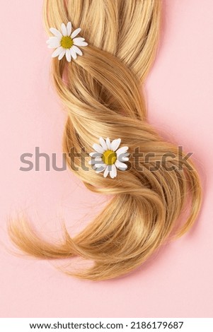 Long golden blond curly hair. A part of blond hair top view on pink background.