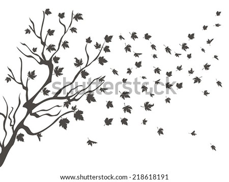 maples falling background