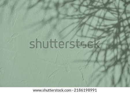 Abstract tree leaves shadows on gray green concrete wall texture with roughness and irregularities. Abstract trendy nature concept background. Copy space for text overlay, poster mockup flat lay  Royalty-Free Stock Photo #2186198991