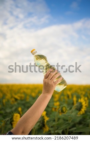 A hand with a bottle of golden sunflower oil raised up against the background of a field of blooming sunflowers in a sunny copy space