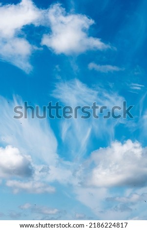 beautiful clouds with blue sky with small birds in the frame
