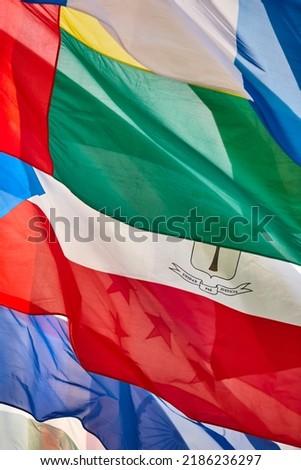 Flags of the word waving in the wind. Nation emblems