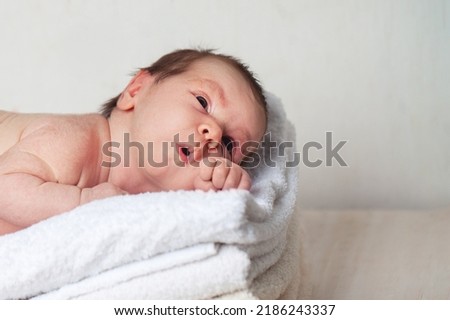 Cute newborn baby, two week old Royalty-Free Stock Photo #2186243337