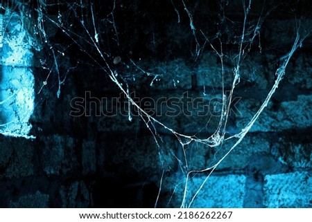 a creepy spider web hanging from the ceiling of an old abandoned house. High quality photo