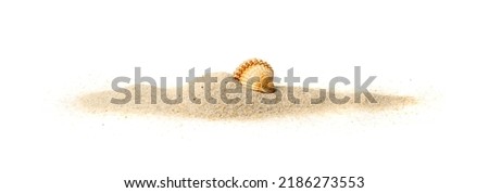 Shells in sand pile isolated. Seashell on sandy beach, ocean dune clams, summer seashore conches on white background, vacation concept Royalty-Free Stock Photo #2186273553