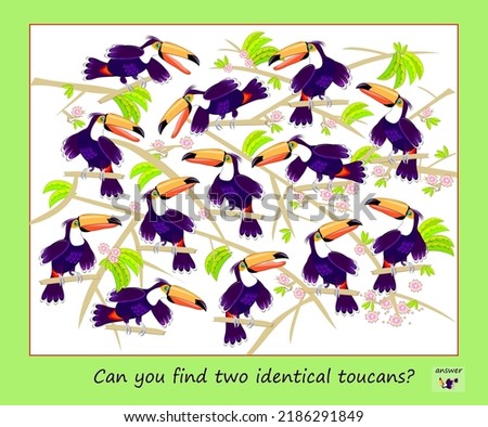 Logic puzzle game for children and adults. Can you find two identical toucans? Page for kids brain teaser book. Task for attentiveness.  IQ test. Play online. Vector cartoon illustration.