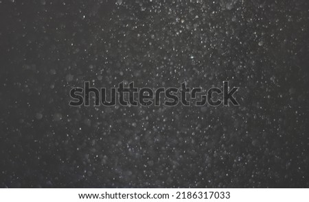 particles of falling snow natural background texture overlay